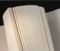 Preview: Antik-Stil I Sheng-Bambuspapier-Fanggu- 50x100cm