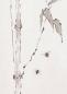 Preview: Rollbild: Bambus mit Hummeln 149x47cm