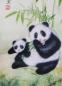 Preview: pandas_bilder_malerei