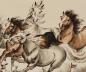 Preview: Pferde Bilder china