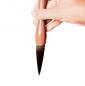 Preview: Chinesische Kalligraphie Pinsel