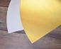 Preview: Gongbi Shu-Xuan Papier -Fächerform- Gold 30x62cm Art.Nr.476