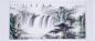 Preview: Landschafts bild mit Wasserfall und Kiefer