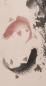 Preview: japan_koi_fische_deco