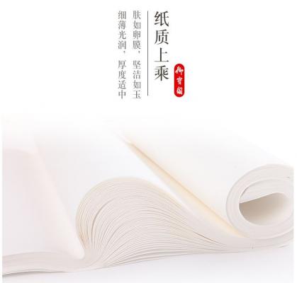 Gongbi I Shu Xuan-Papier -Delong- 34x69cm