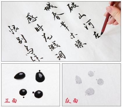 Gongbi I Shu Xuan-Papier -Delong- 34x69cm