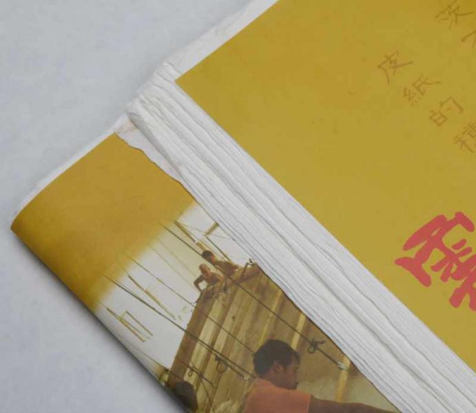 Weißes Banshu Xuan-Papier -Longwei- 70x140cm