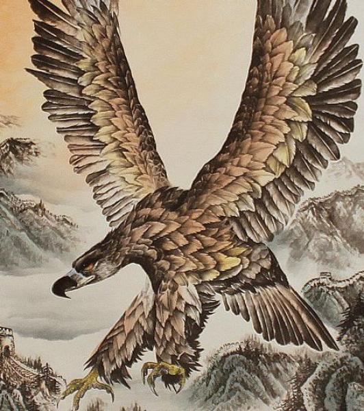 Chinesische Malerei Rollbild: Adler 69cm *172cm