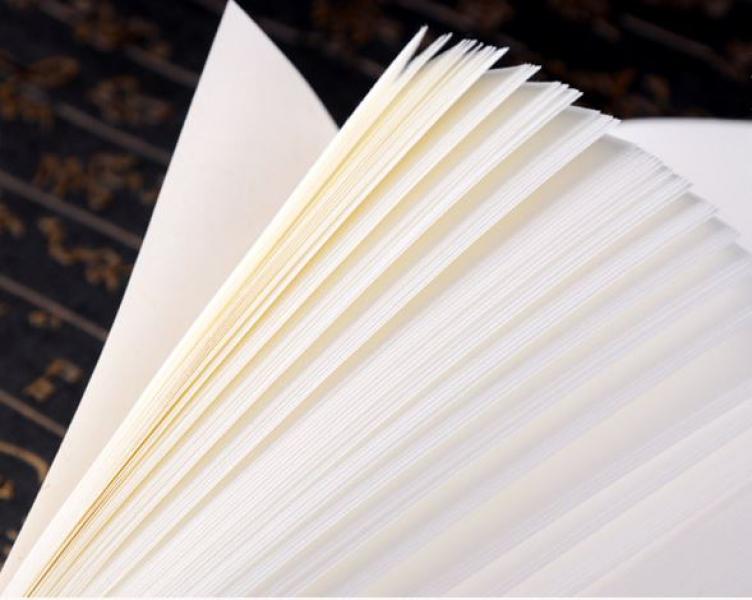 Chinesisches handgeschöpftes shu Xuan-Papier