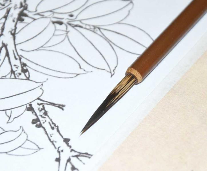 Detail- und Linienpinsel -Gouxian-