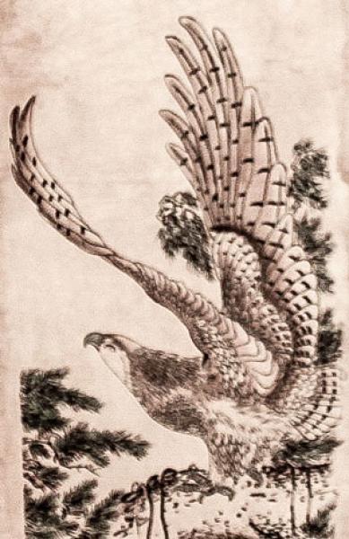 Rollbild: Adler -Ying- 35x125cm